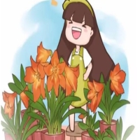 風(fēng)水中屋內(nèi)養(yǎng)什么花最好 屋內(nèi)風(fēng)水吉祥花推薦
