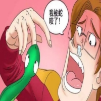 女人夢(mèng)見(jiàn)被蛇咬的寓意 女人夢(mèng)到被蛇咬預(yù)示著什么