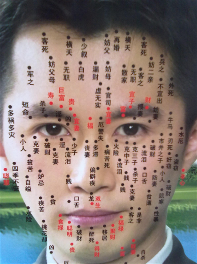圖片9