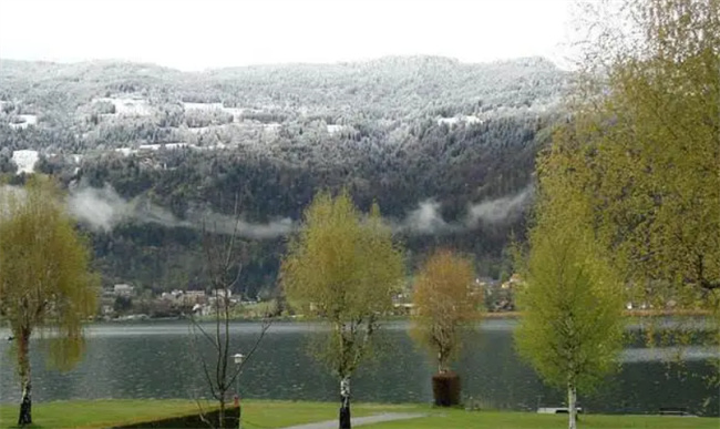 Picture45