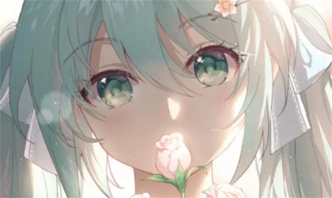 Picture127