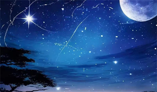 Picture7