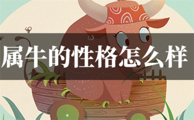 屬牛女的性格特點(diǎn)怎么樣（屬牛女的人格分析）