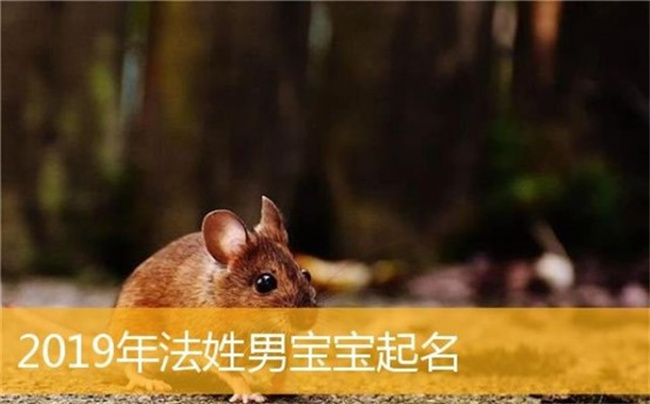 姓法的男孩怎么取名，哪些姓法的男孩名洋氣
