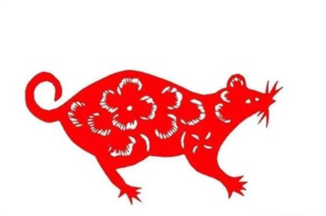 屬鼠的人性格特點(diǎn)是什么，和什么屬相最配