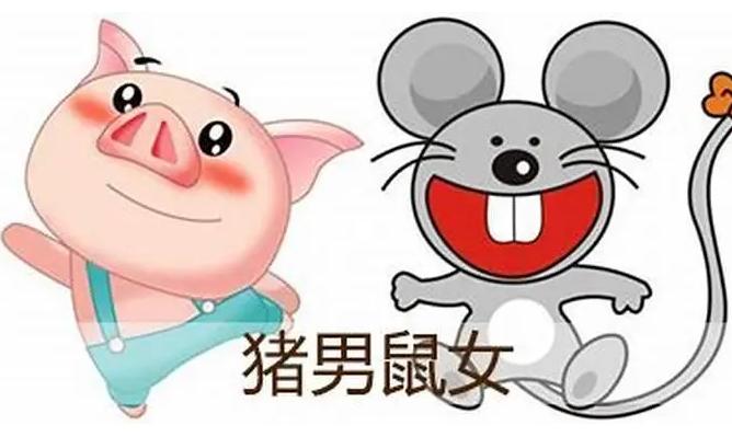 屬豬人跟誰在一起財運好（能提高屬豬人財運的生肖）