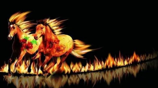 生肖馬的人性格如何 生肖馬適合從事的行業(yè)