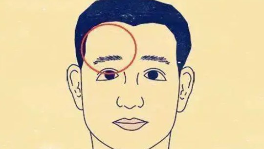 無眉毛命相好不好 沒眉毛的男人吉兇運勢