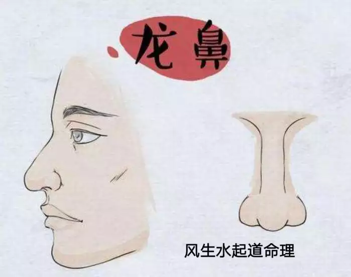 面相：?jiǎn)柛辉诒? class=