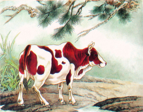 出生日運(yùn)勢(shì)：十二生肖哪天出生最好命