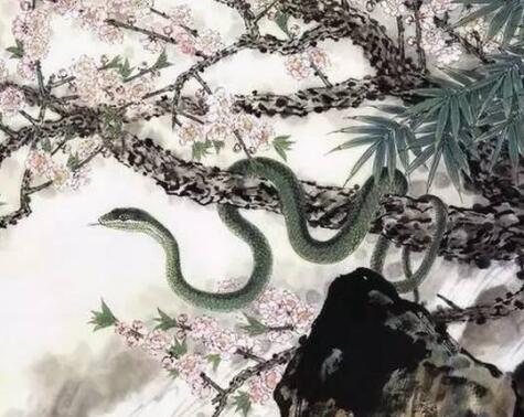 天生聰明伶俐的三大生肖