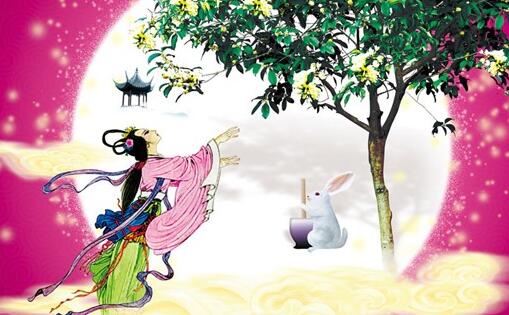 不同年份的生肖兔運勢