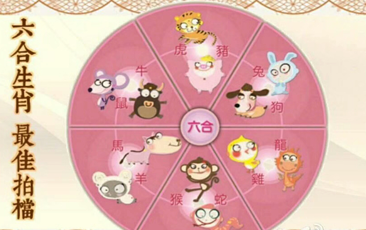 生肖運程:屬雞人的逐月運程