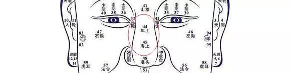 面相：從女人鼻子看婚姻和財運