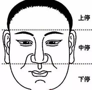 面相：從女人鼻子看婚姻和財運