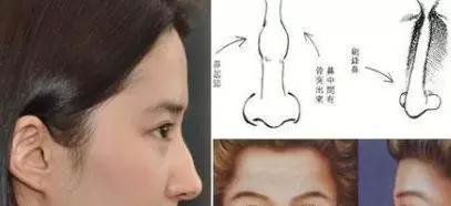 面相：從女人鼻子看婚姻和財運